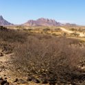 NAM ERO D3716 2016NOV24 007 : 2016, 2016 - African Adventures, Africa, D3716, Date, Erongo, Month, Namibia, November, Places, Southern, Trips, Year